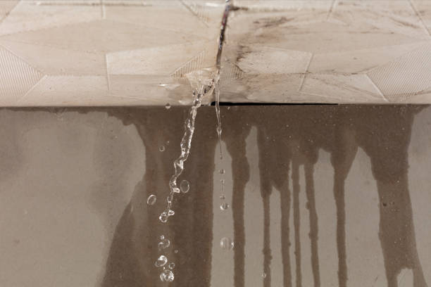 Professional Commercial Water Damage Restoration technician working in Dennysville, ME